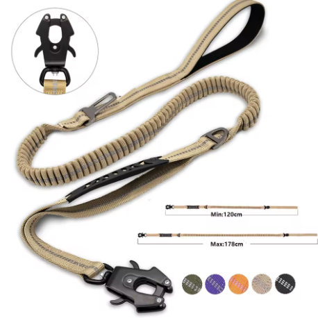 Shock absorbing leash